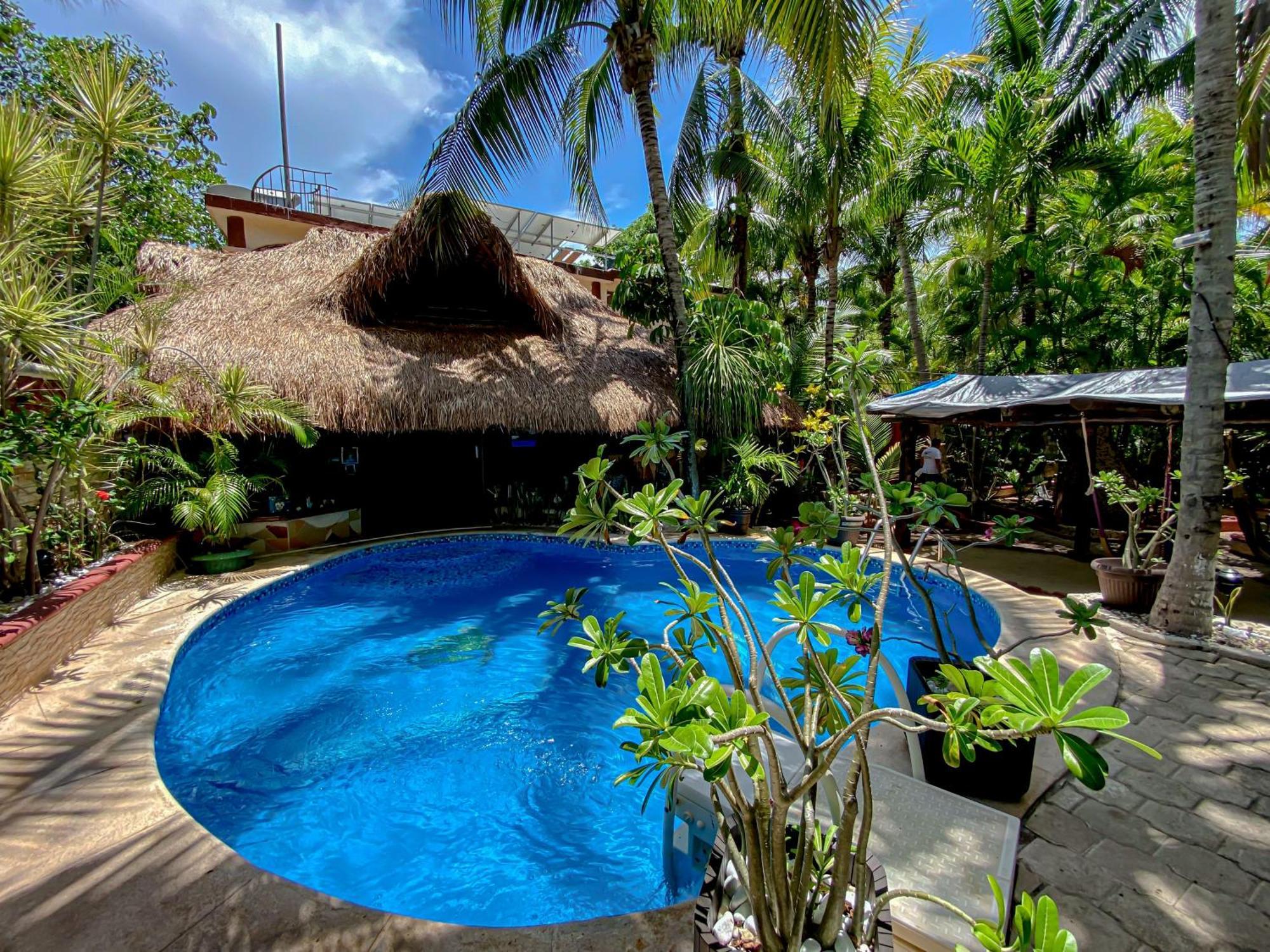Cocos Cabanas Playa Del Carmen Adults Only Экстерьер фото