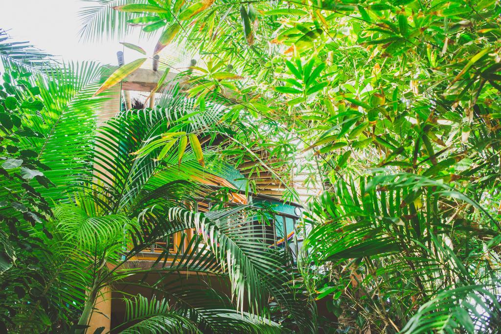 Cocos Cabanas Playa Del Carmen Adults Only Экстерьер фото