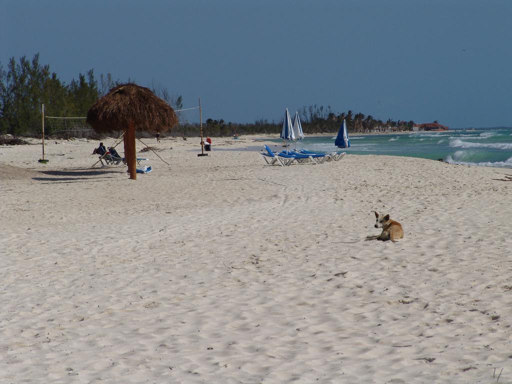 Cocos Cabanas Playa Del Carmen Adults Only Экстерьер фото
