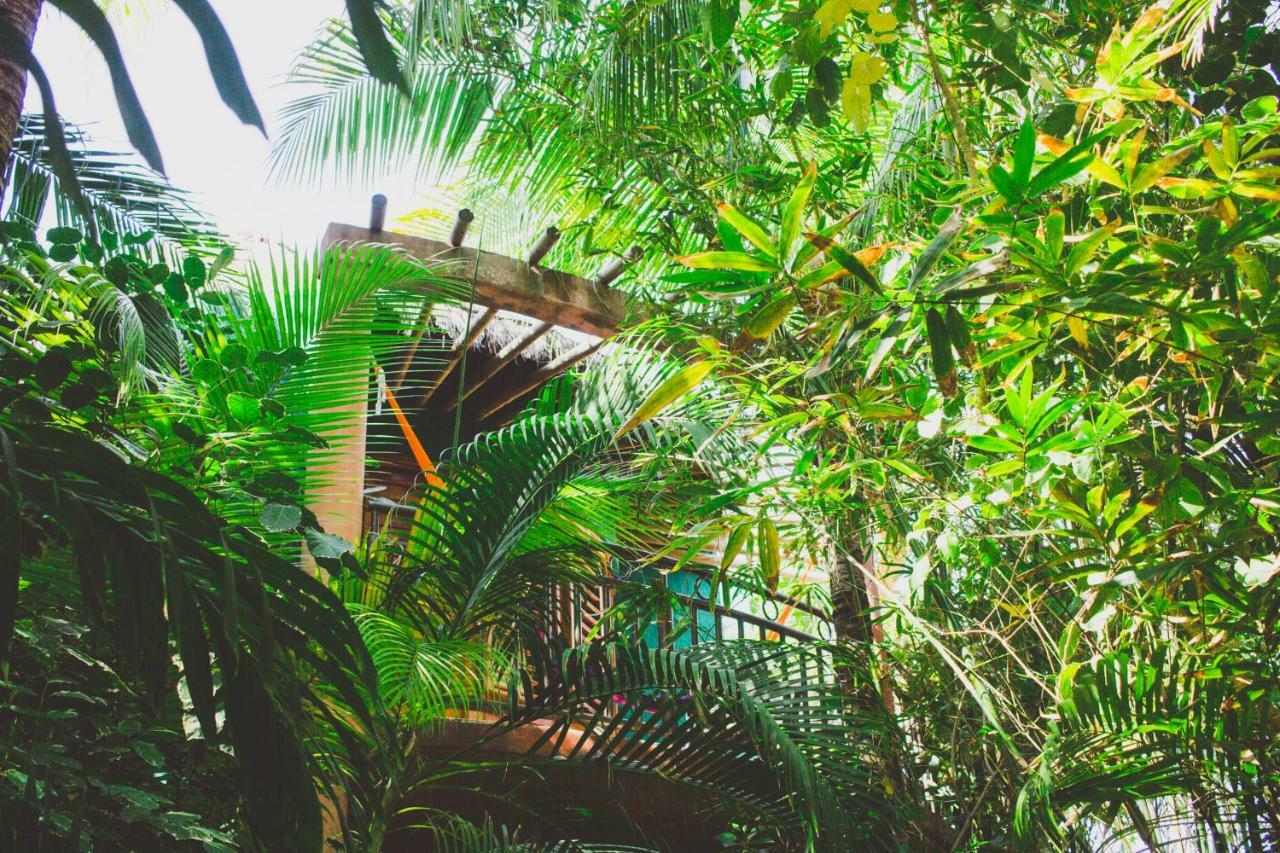 Cocos Cabanas Playa Del Carmen Adults Only Экстерьер фото